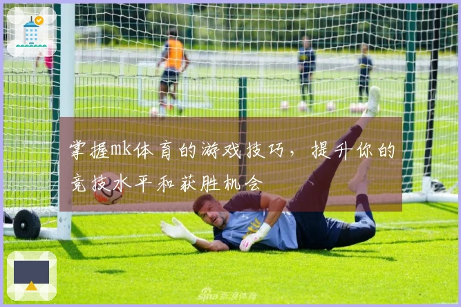 掌握mk体育的游戏技巧，提升你的竞技水平和获胜机会