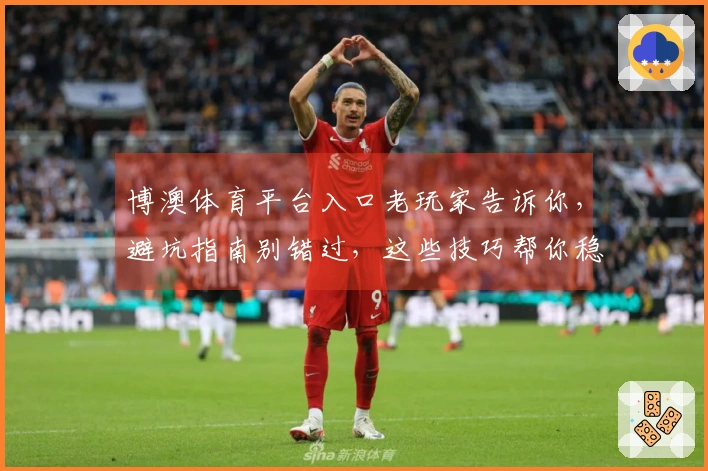 博澳体育平台入口老玩家告诉你，避坑指南别错过，这些技巧帮你稳赚不赔