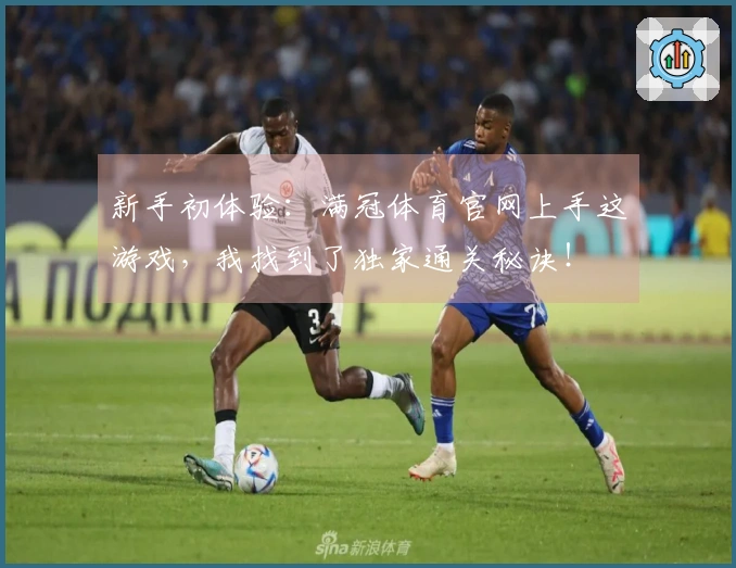 新手初体验：满冠体育官网上手这游戏，我找到了独家通关秘诀！